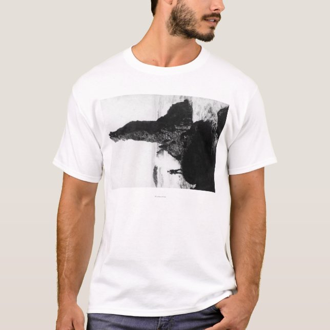 Die Herzogin Rock in Newport, Oregon T-Shirt (Vorderseite)