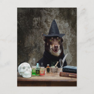 Die Hexe Postkarte
