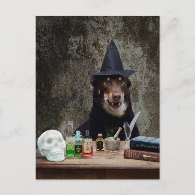 Die Hexe Postkarte (Vorderseite)