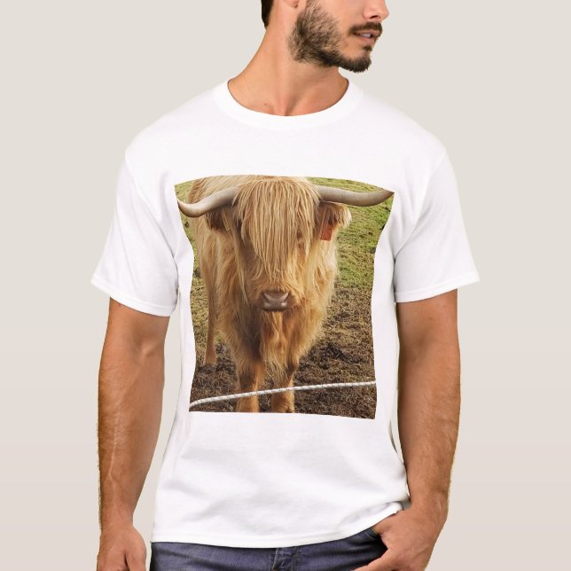 Die Hochlandkühe T-Shirt (Vorderseite)