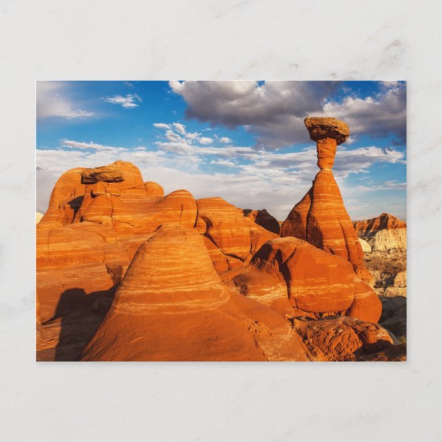 Die Hocker Postkarte (Vorderseite)