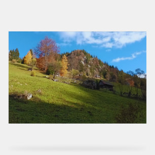 Die hohe Wiese - Wilde Natur Rumänien Acrylschild