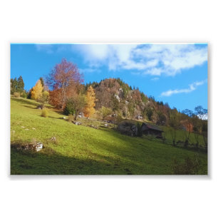 Die hohe Wiese - Wilde Natur Rumänien Fotodruck