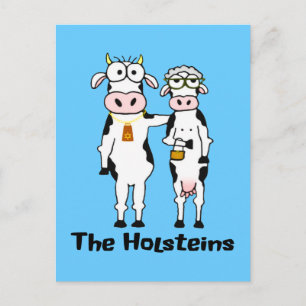 Die Holsteins Postkarte