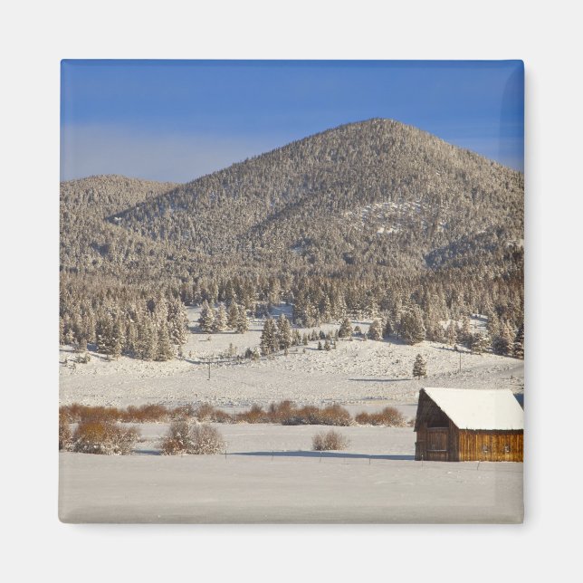 Die Holzhütte sitzt im Schnee in der Nähe des Boul Magnet (Vorne)