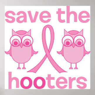 Die Hooters gerettet Poster