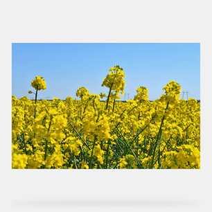 Die Horizontlinie - Farben der wilden Natur Rumäni Acrylschild