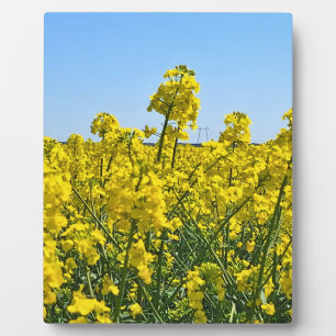 Die Horizontlinie - Farben der wilden Natur Rumäni Fotoplatte