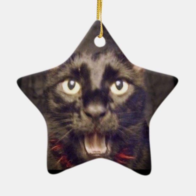 Die hübscheste Stern-Verzierung Keramik Ornament (Hinten)