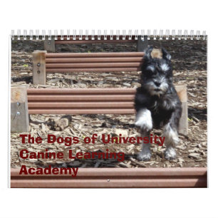 Die Hunde der Hochschulhunde- lernenakademie Kalender