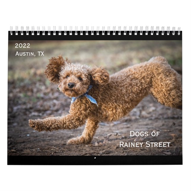 Die Hunde des Kalenders Rainey Street Kalender (Titelbild)