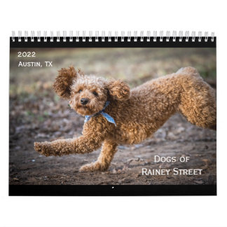 Die Hunde des Kalenders Rainey Street Kalender