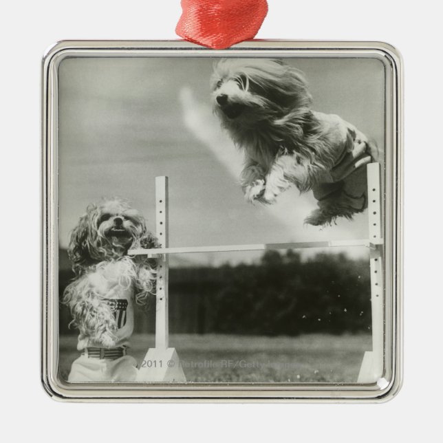 Die Hunde springend über MiniaturBar des hohen Silbernes Ornament (Vorne)