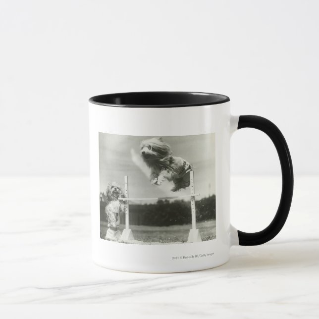 Die Hunde springend über MiniaturBar des hohen Tasse (Rechts)