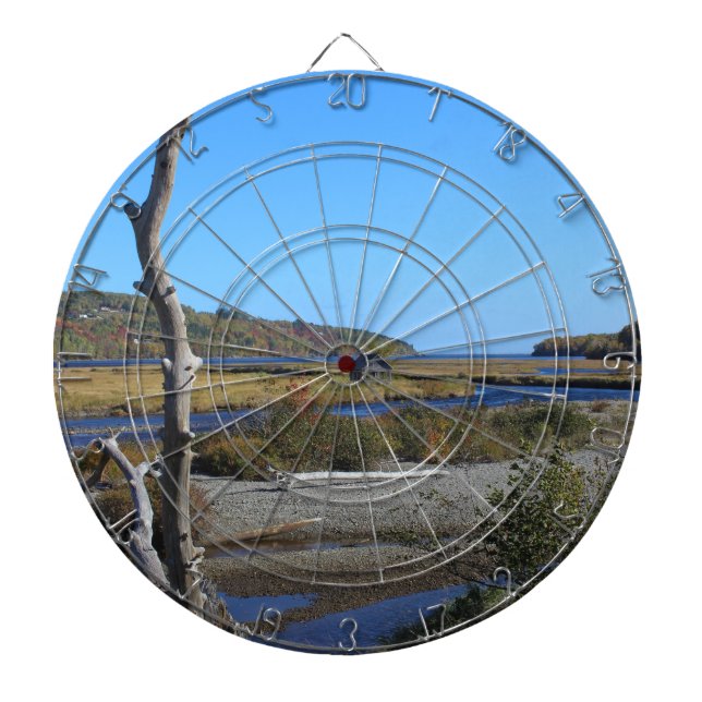 Die Hütte in der Gans-Bucht Dartscheibe (vorne)