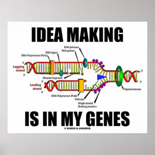 Die Idee ist in meinen Genen (DNA-Replikation) Poster