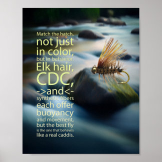 Die ikonische Elchhaar-Köcherfliege Poster