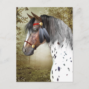 Die indische Pony Postcard Postkarte