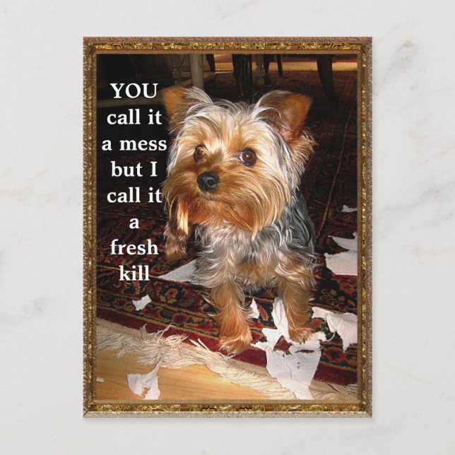 Die individuell anpassbare Shredder-Postkarte Postkarte (Vorderseite)