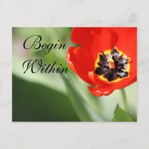 Die innere Tulip-Fotografie Postkarte
