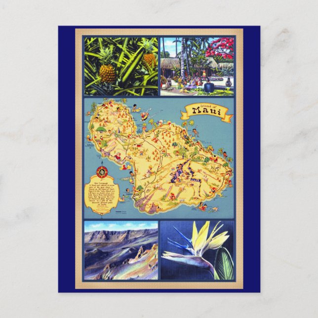 Die Insel Maui Hawaii Postkarte (Vorderseite)