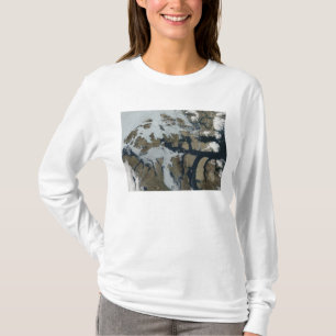 Die Inseln der Königin-Elizabeth T-Shirt