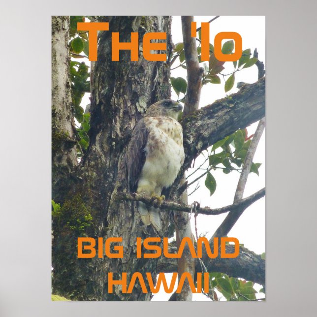 Die "Io BIG ISLAND HAWAII Poster (Vorne)