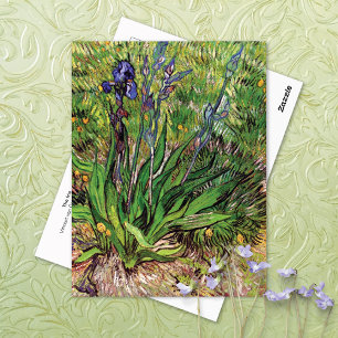 Die Iris-Landschaft Vincent van Gogh Postkarte