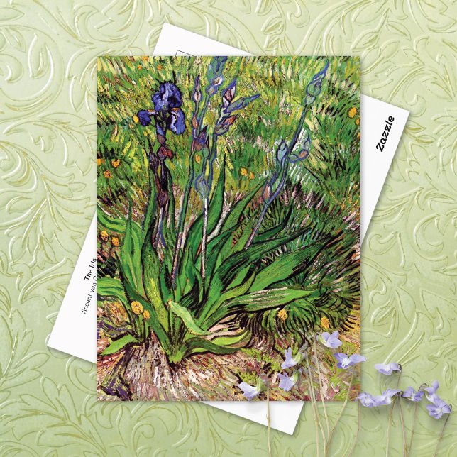 Die Iris-Landschaft Vincent van Gogh Postkarte (Von Creator hochgeladen)