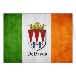 Die irische Flagge DeBryan