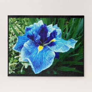 DIE JAPANISCHE IRIS-BLUME PUZZLE