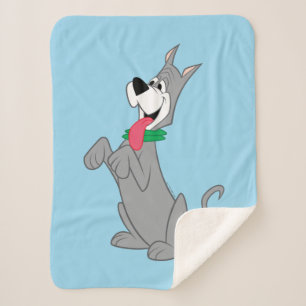 Die Jetsons   Astro their Dog Sherpadecke
