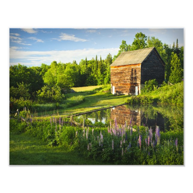 Die John Brown Farm in den Adirondacks, N.Y. Fotodruck (Vorne)