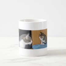 Die Junge und das alte