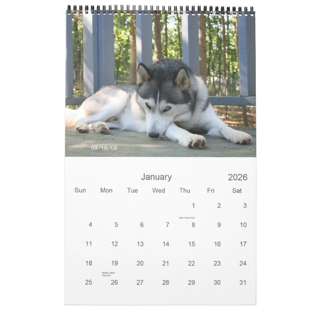 Die Jungen Kalender (Jan 2026)