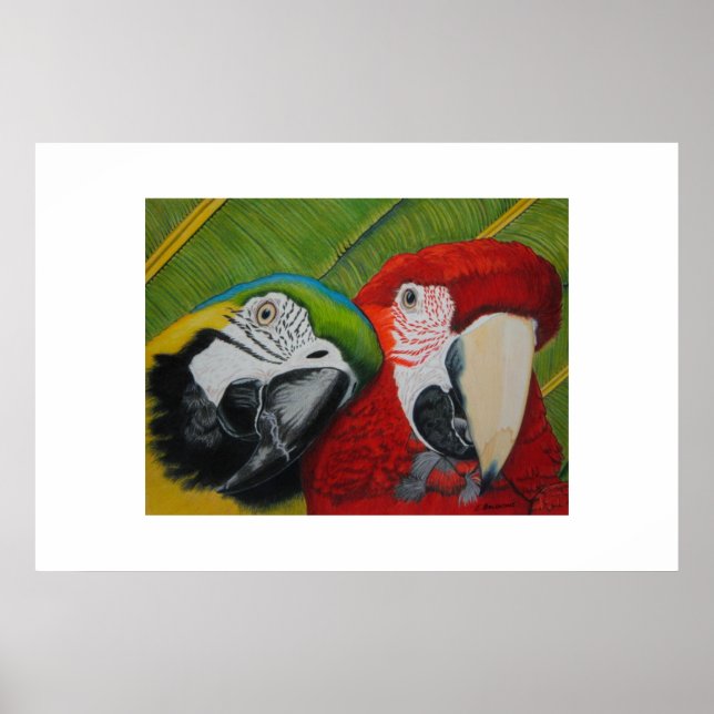 Die Jungs Poster (Vorne)