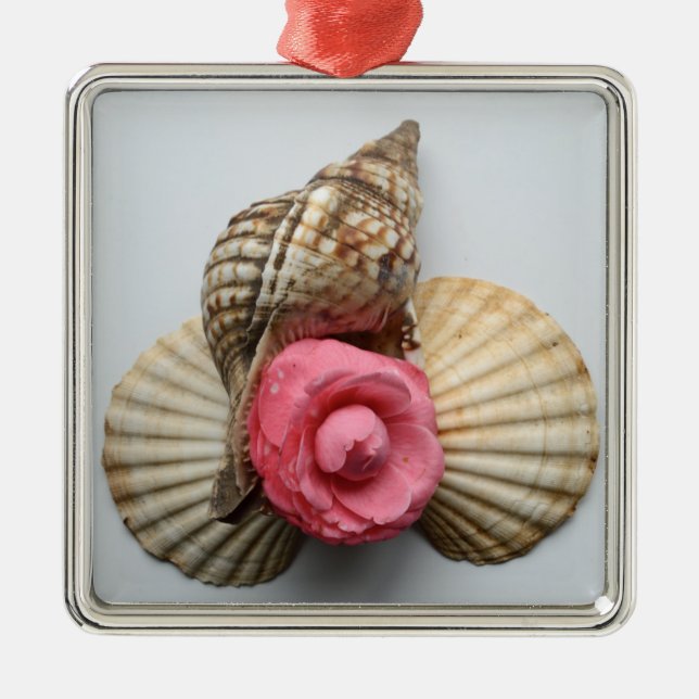 Die Kamelie und die Muscheln Silbernes Ornament (Vorne)
