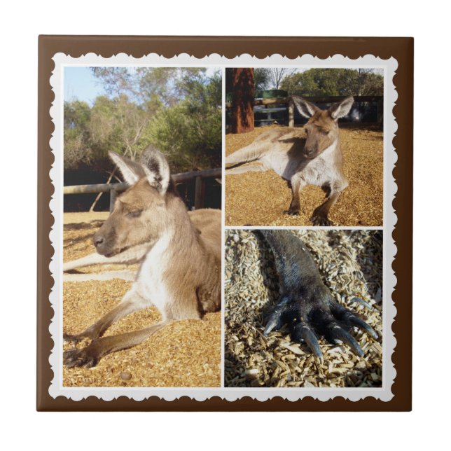Die Kangaroo Bildkollektion, Keramik Tile Fliese (Vorderseite)