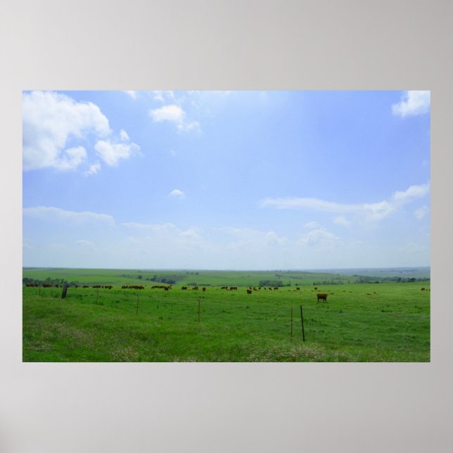 Die Kansas-Landschaft Poster (Vorne)