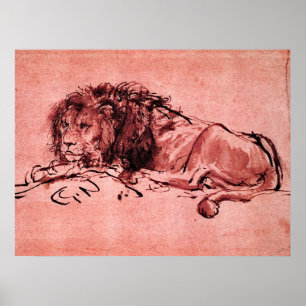 DIE KAP LION LIING DOWN, von Rembrandt Pink Black Poster