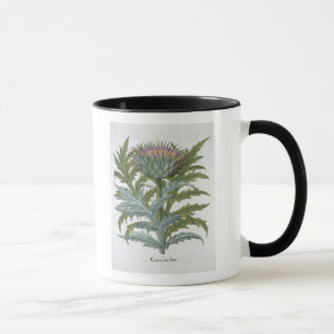 Die Karde, vom "Hortus Eystettensis" durch Bas Tasse