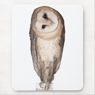 Die Karte der seltsamen Eulen. Mousepad
