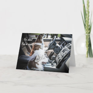 Die Karte zum Anniversary-Triebwerk der Corgis