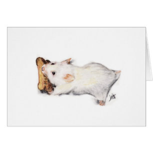 Die Karten für den Knochentaucher (Hamster)