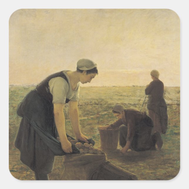 Die Kartoffelernte Quadratischer Aufkleber (Vorderseite)