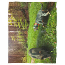 Die Katahoula und das Wildhühnerschwarz