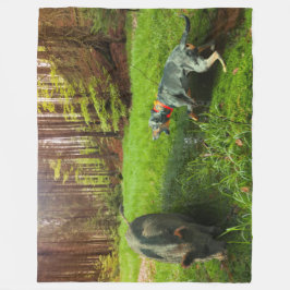 Die Katahoula und das Wildhühnerschwarz Fleecedecke