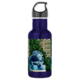 Die Katze, die die Kanaren aß, Washington DC Edelstahlflasche