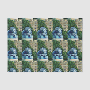 Die Katze, die die Kanaren aß, Washington DC Seidenpapier