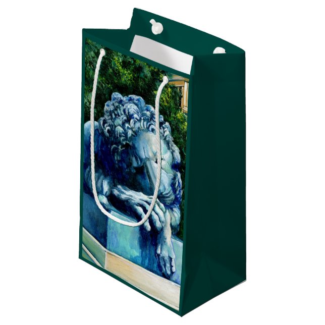 Die Katze, die die Kanarischen Inseln aß Kleine Geschenktüte (Vorderseite Schrägansicht)